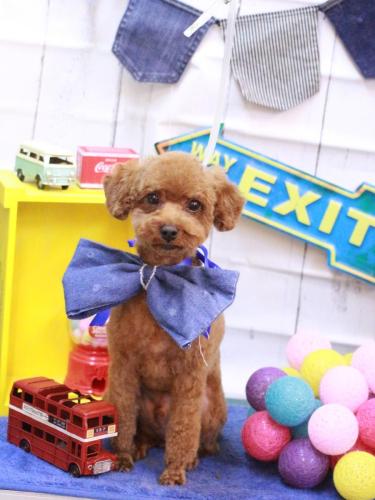 20230423リッチくん